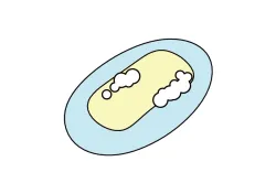 Savon