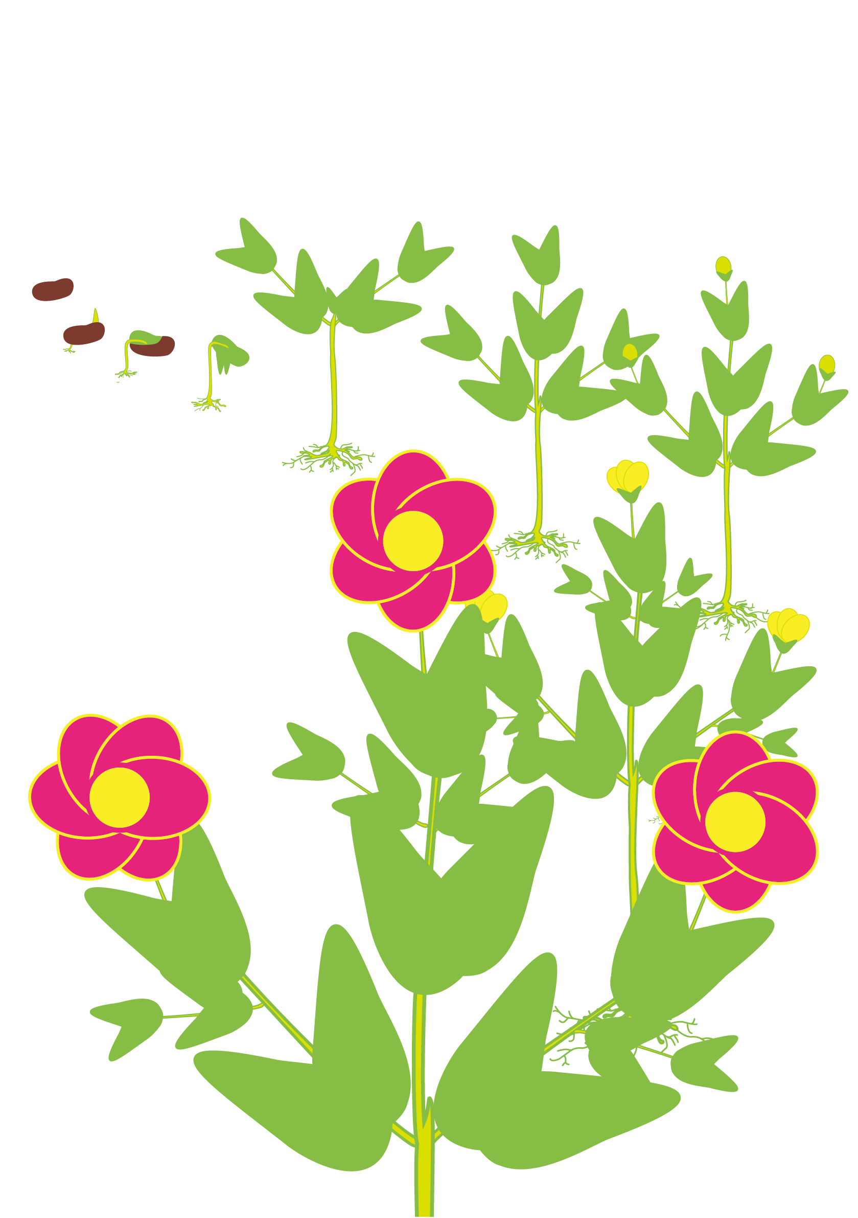 Printemps Partie 2 : Les Fleurs